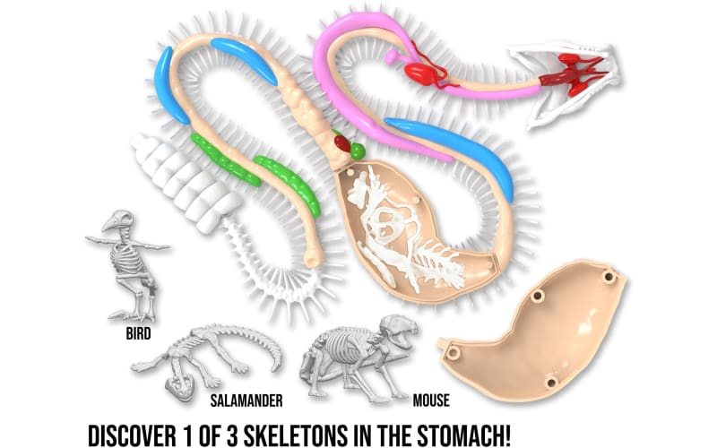 Top Secret Toys Dissect It+ Rattlesnake Super Lab | Bass Pro Shops