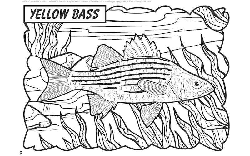 best fishing pole for bream The Best Saltwater Fishing Rods: An Angler's Guide for 2026