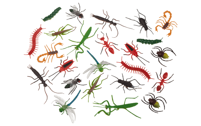 Wild Republic Insect Nature Tube Bass Pro Shops