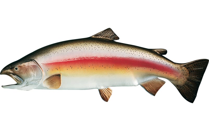 best g loomis rod for redfish Best 8wt Fly Rods of 2026