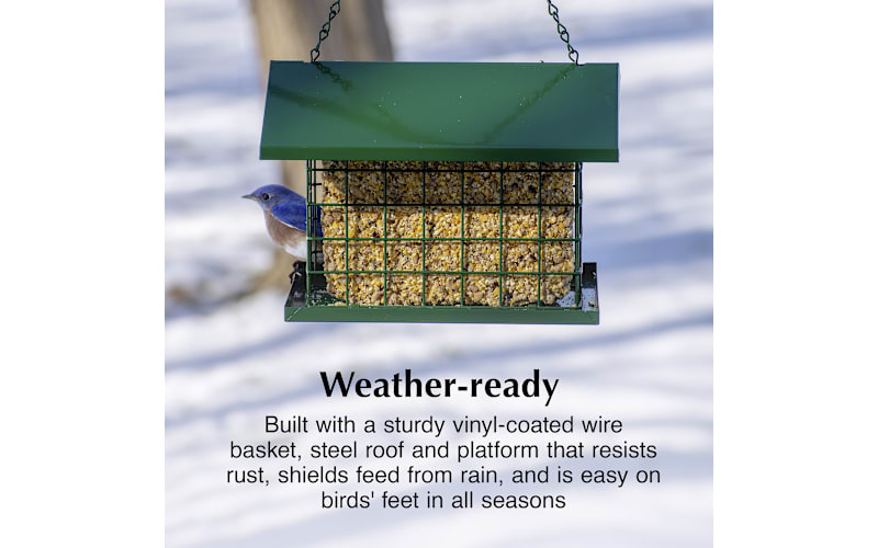 C&S EZ-Fill Deluxe Suet And Snak Feeder with Roof And Platform