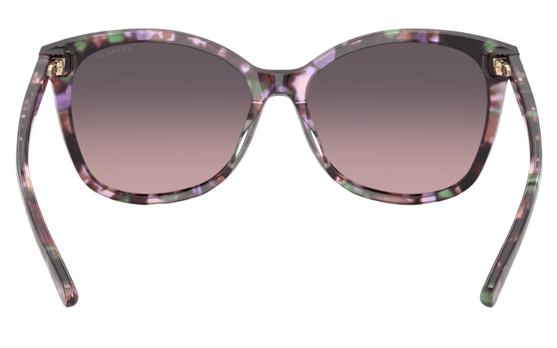 COACH HC8271U Polarized Sunglasses for Ladies | Mack display picture 1