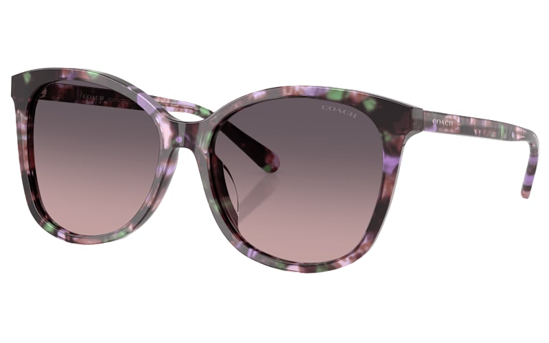 COACH HC8271U Polarized Sunglasses for Ladies | Mack display picture 1