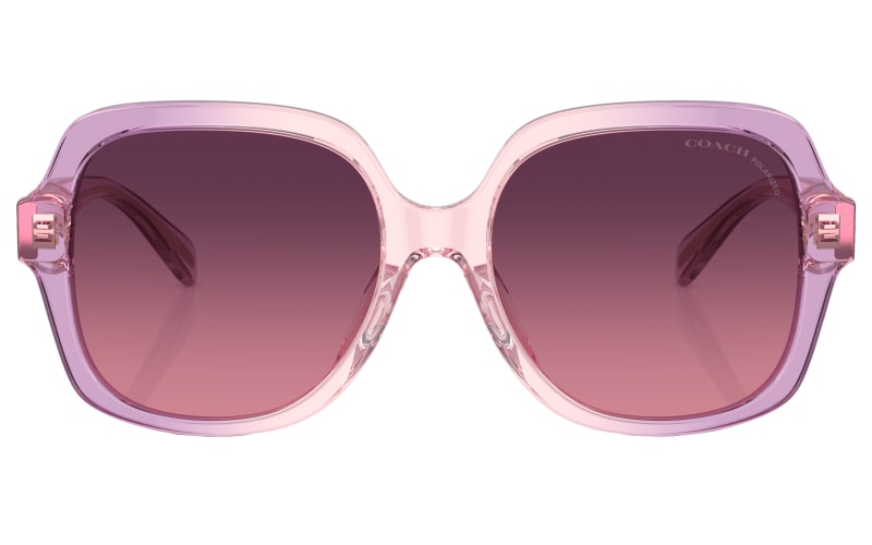 COACH HC8395U Polarized Sunglasses for Ladies - Amethyst  display picture 1
