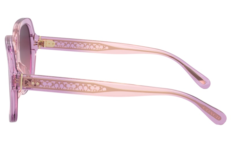 Coach Women\'s Translucent Amethyst/Pink-Burgundy Gradient Polarized Sunglasses Amazon.com: COACH HC8271U Sunglasses, Amethyst Pearl  main image 4