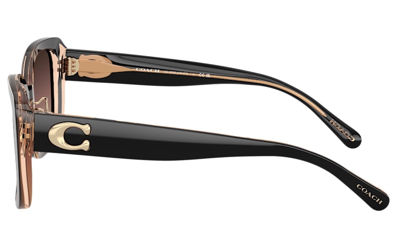 COACH HC8352 Sunglasses for Ladies | Bass Pro Shops