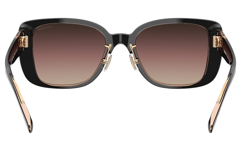 COACH HC8352 Sunglasses for Ladies | Cabela's