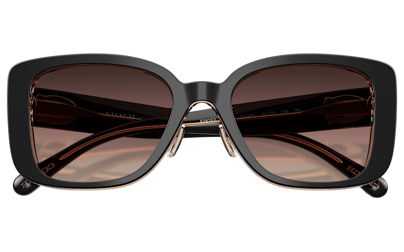 COACH HC8352 Sunglasses for Ladies | Bass Pro Shops display picture 1
