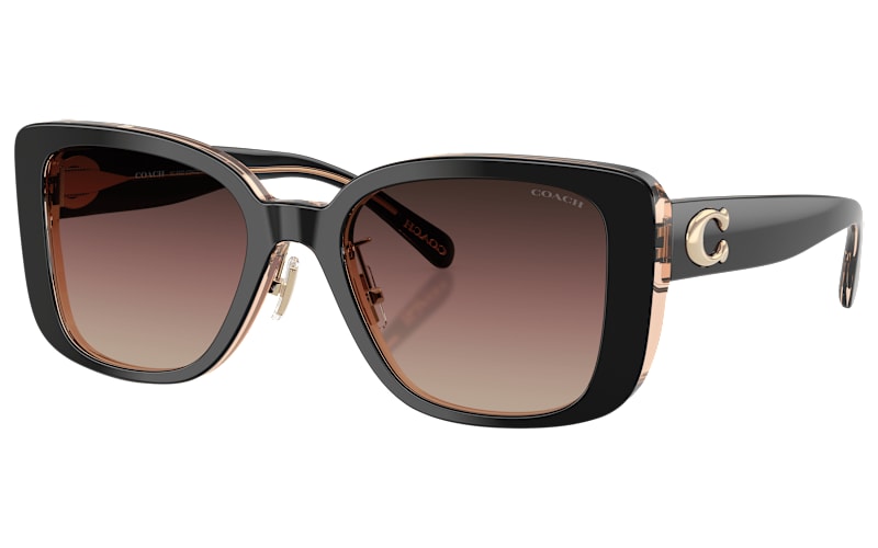 COACH HC8352 Sunglasses for Ladies | Cabela's