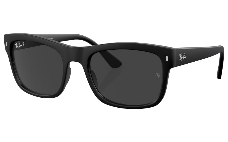 Ray-Ban RB4428 Glass Polarized Sunglasses | Bass Pro Shops display picture 2