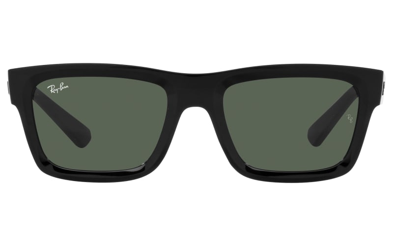 Ray-Ban Warren Bio-Based RB4396 Polarized Sunglasses - | Bass Pro