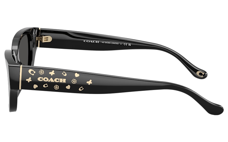 COACH HC8439U Sunglasses for Ladies | Bass Pro Shops display picture 2