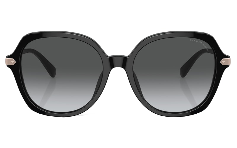 Coach hotsell sunglasses polarized