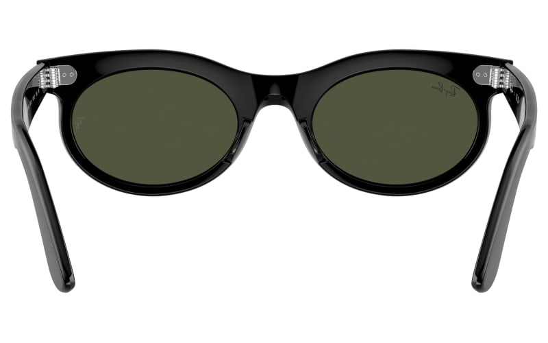 Ray-Ban Wayfarer Oval RB2242 Glass Sunglasses | Bass Pro Shops