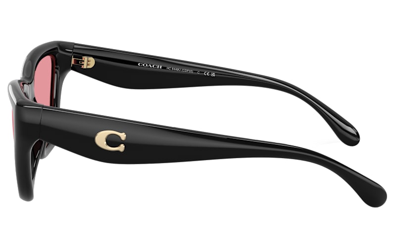 COACH HC8449U Polarized Sunglasses for Ladies | Cabela display picture 3
