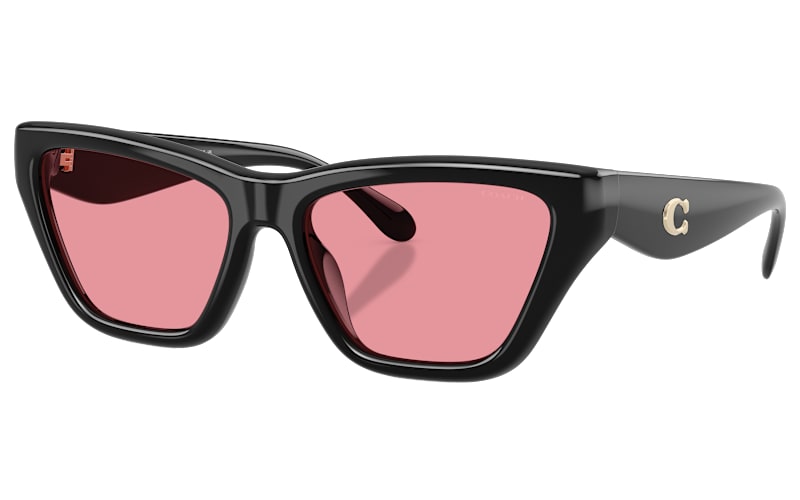 COACH HC8449U Polarized Sunglasses for Ladies | Cabela display picture 3
