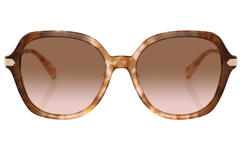 Coach HC8349U Tortoise Sunglasses -New Coach - Brandclub - COACH womens Hc8363u Universal Fit  main image 4