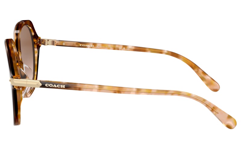 COACH HC8377U Sunglasses for Ladies | Bass Pro Shops display picture 2
