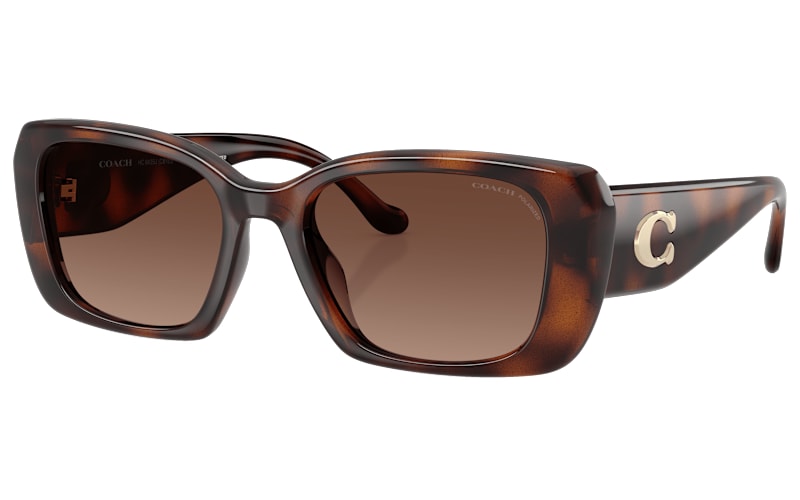 COACH HC8435U Polarized Sunglasses for Ladies | Mack display picture 2