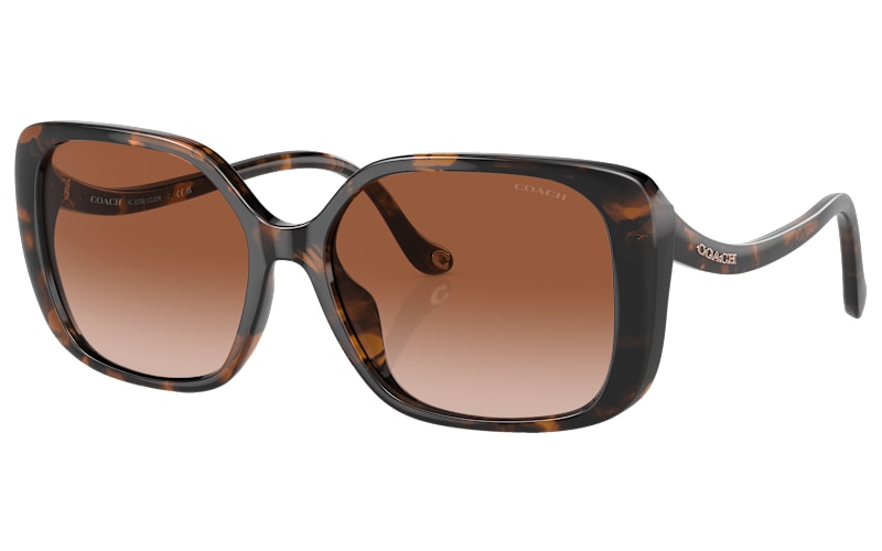COACH HC8376U Sunglasses for Ladies | Mack display picture 3