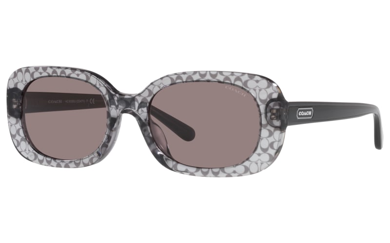 COACH HC8358U Sunglasses for Ladies | Mack display picture 1