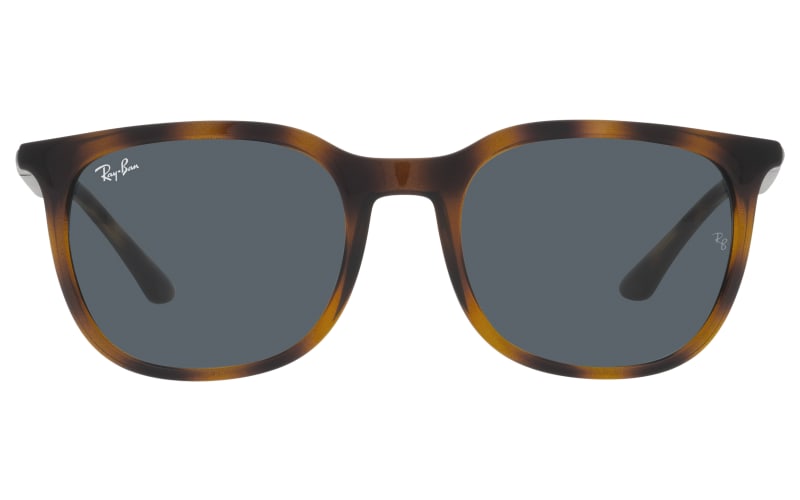 Ray ban 4299 hot sale