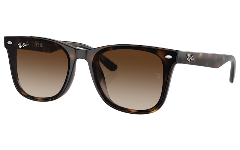Ray-Ban RB4420 Gradient Sunglasses | Cabela display picture 1