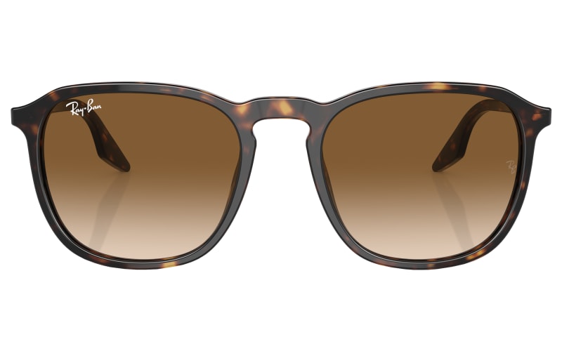 Ray Ban RB2203 Gradient Glass Sunglasses Cabela s