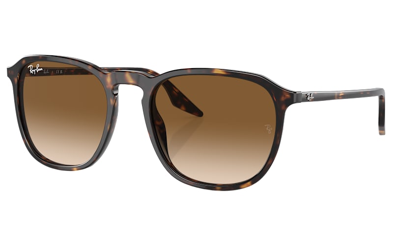 Ray-Ban Brown Oversized Sunglasses Gradient Lenses Ray-Ban RB3386 004/13 63M Gunmetal/Brown Gradient Sunglasses  main image 2
