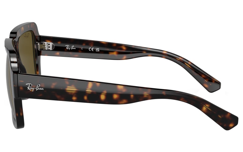 Magellan sunglasses discount