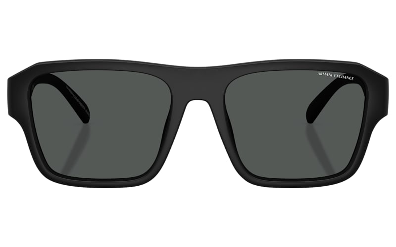 Armani Exchange Black Oversized Gradient Sunglasses Armani Exchange AX4163S Sunglasses | FramesDirect.com main image 4