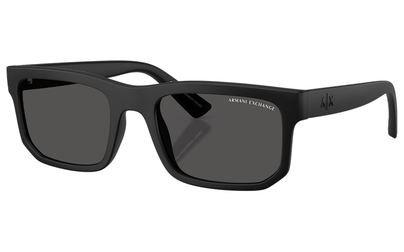 Armani Exchange AX4165S Sunglasses | Bass Pro Shops display picture 3