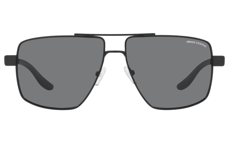 Armani Exchange AX2037S Polarized Sunglasses | Bass Pro Shops display picture 3