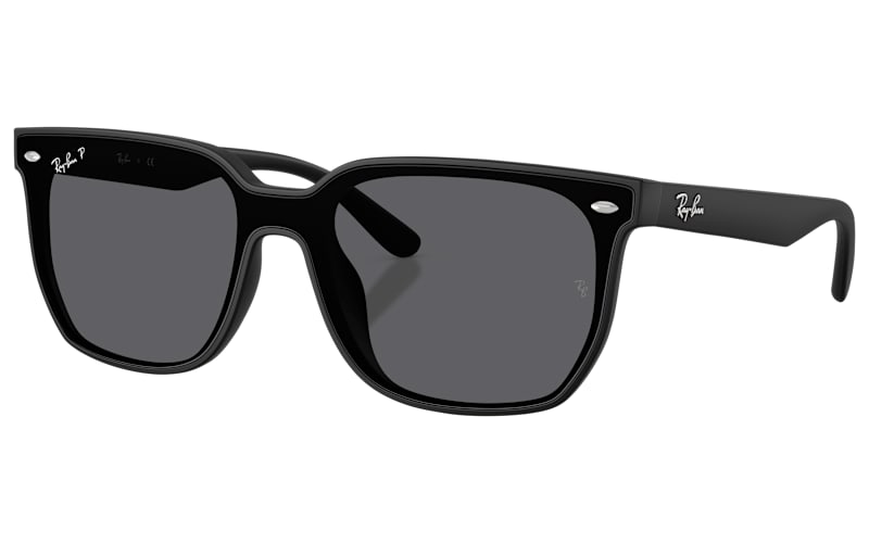 Ray-Ban RB4466D Polarized Sunglasses | Bass Pro Shops