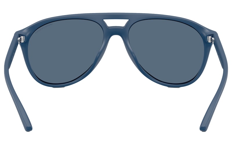 Armani Exchange AX4156SU Sunglasses | Mack's Prairie Wings