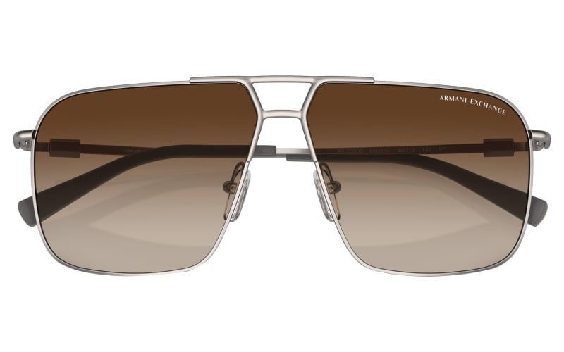 Armani Exchange AX2050S Polarized Sunglasses | Cabela display picture 1