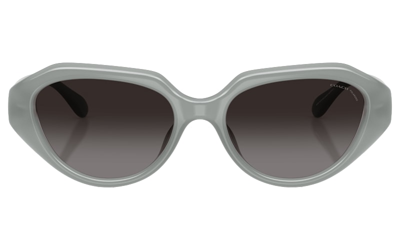 COACH HC8433U Polarized Sunglasses for Ladies | Mack display picture 1