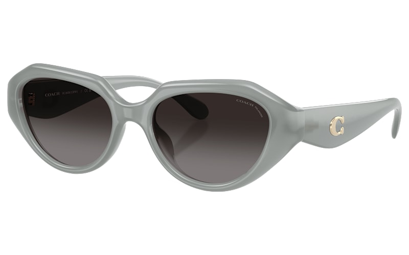 COACH HC8433U Polarized Sunglasses for Ladies | Mack display picture 3