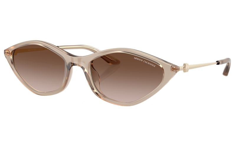 Armani Exchange AX4152SU Sunglasses for Ladies | Bass Pro Shops display picture 2