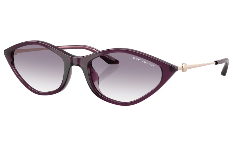 Armani Exchange Smoky Purple Toned Sunglasses ARMANI EXCHANGE WOMENS SUNGLASSES AX251/S 1BQ PG 125 TEMPLE  main image 2