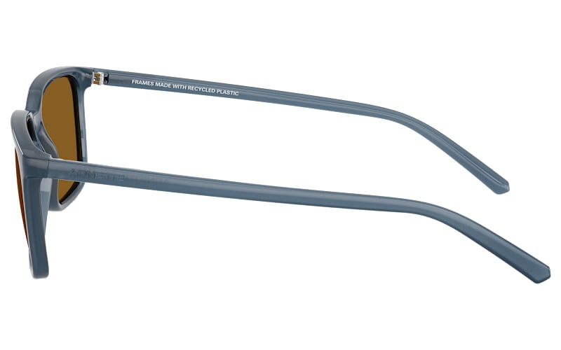 Arnette Dinsky AN4364 Polarized Sunglasses | Bass Pro Shops