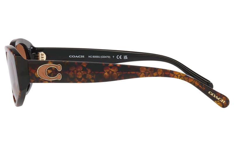 Coach gradient store sunglasses