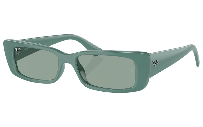 Ray-Ban Teru Bio-Based RB4425 Sunglasses | Cabela's