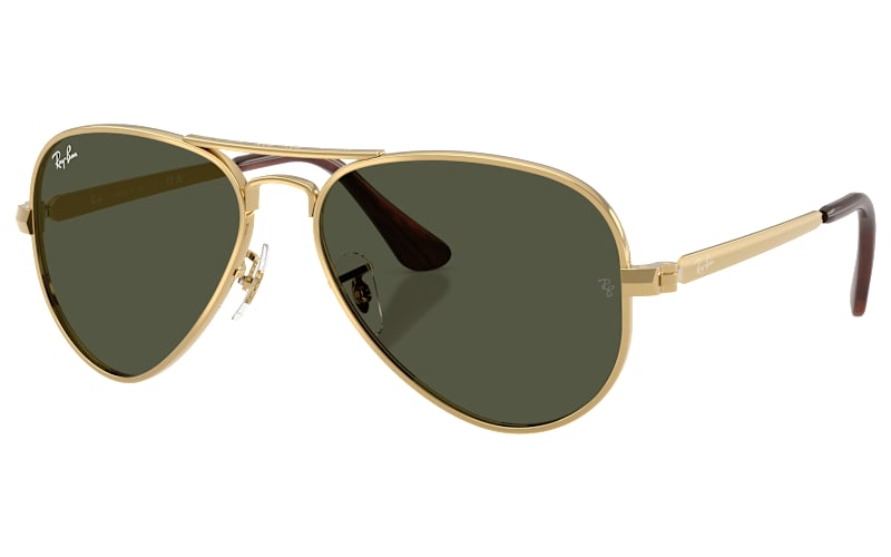 Ray-Ban Aviator Max RB3925 Glass Sunglasses | Bass Pro Shops display picture 3