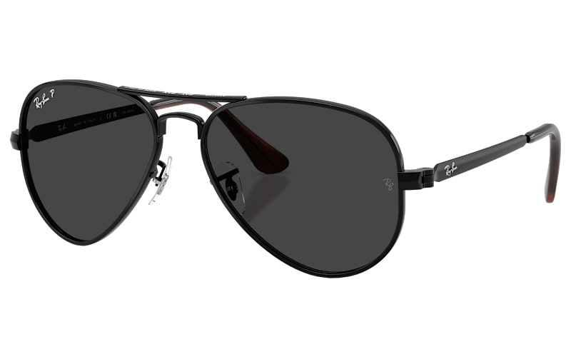 Ray-Ban Aviator Max RB3925 Glass Polarized Sunglasses | Bass  display picture 1