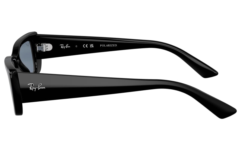 Ray-Ban Teru Bio-Based RB4425 Polarized Sunglasses | Cabela's
