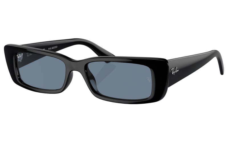 Ray-Ban Teru Bio-Based RB4425 Polarized Sunglasses | Cabela