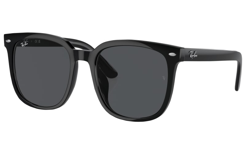 Ray-Ban Low Bridge Fit RB4401D Sunglasses | Bass Pro Shops display picture 3