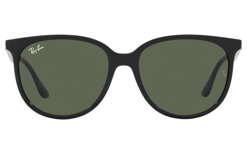 Ray-Ban RB4378 Sunglasses for Ladies | Bass Pro Shops display picture 2