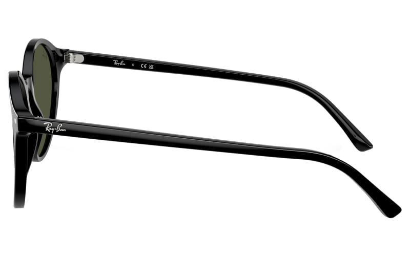 Ray-Ban Bernard RB2230 Glass Sunglasses | Bass Pro Shops